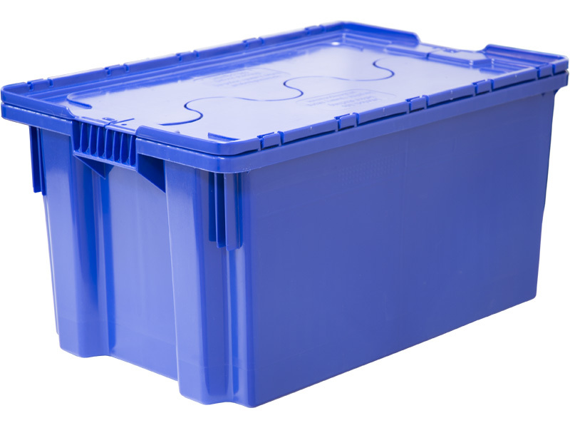 mini59880829-0aee-443a-9b50-091566f236f8